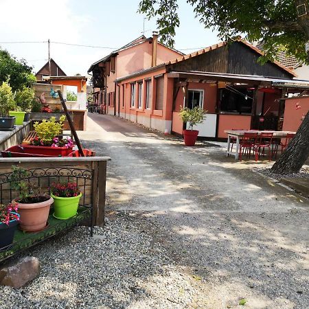 Gites & Camping On The Route Des Vins Bergheim Ngoại thất bức ảnh